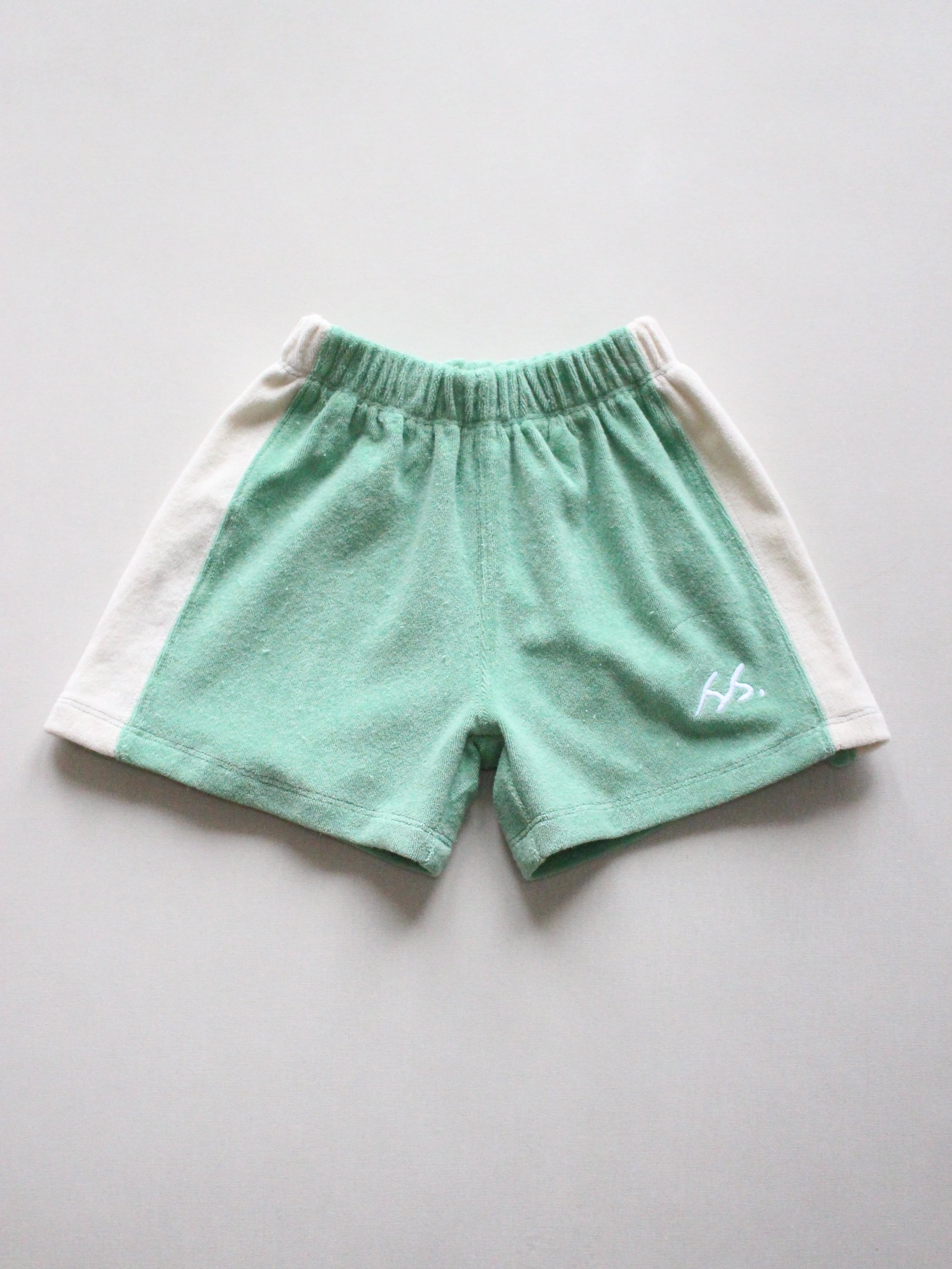 SUMMER and STORM TERRY PANEL SHORT - GREEN