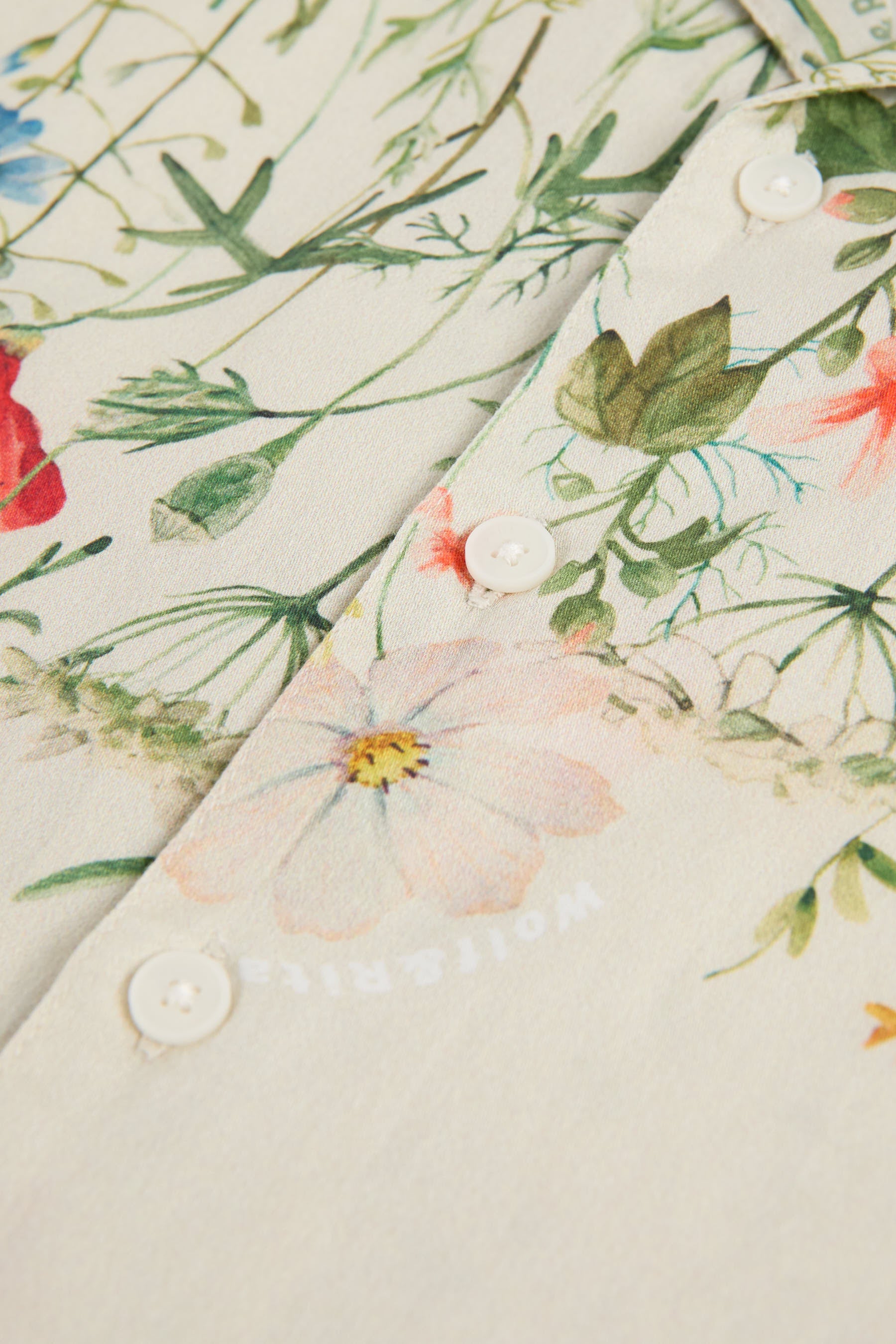 WOLF & RITA BRUNO BLOOM