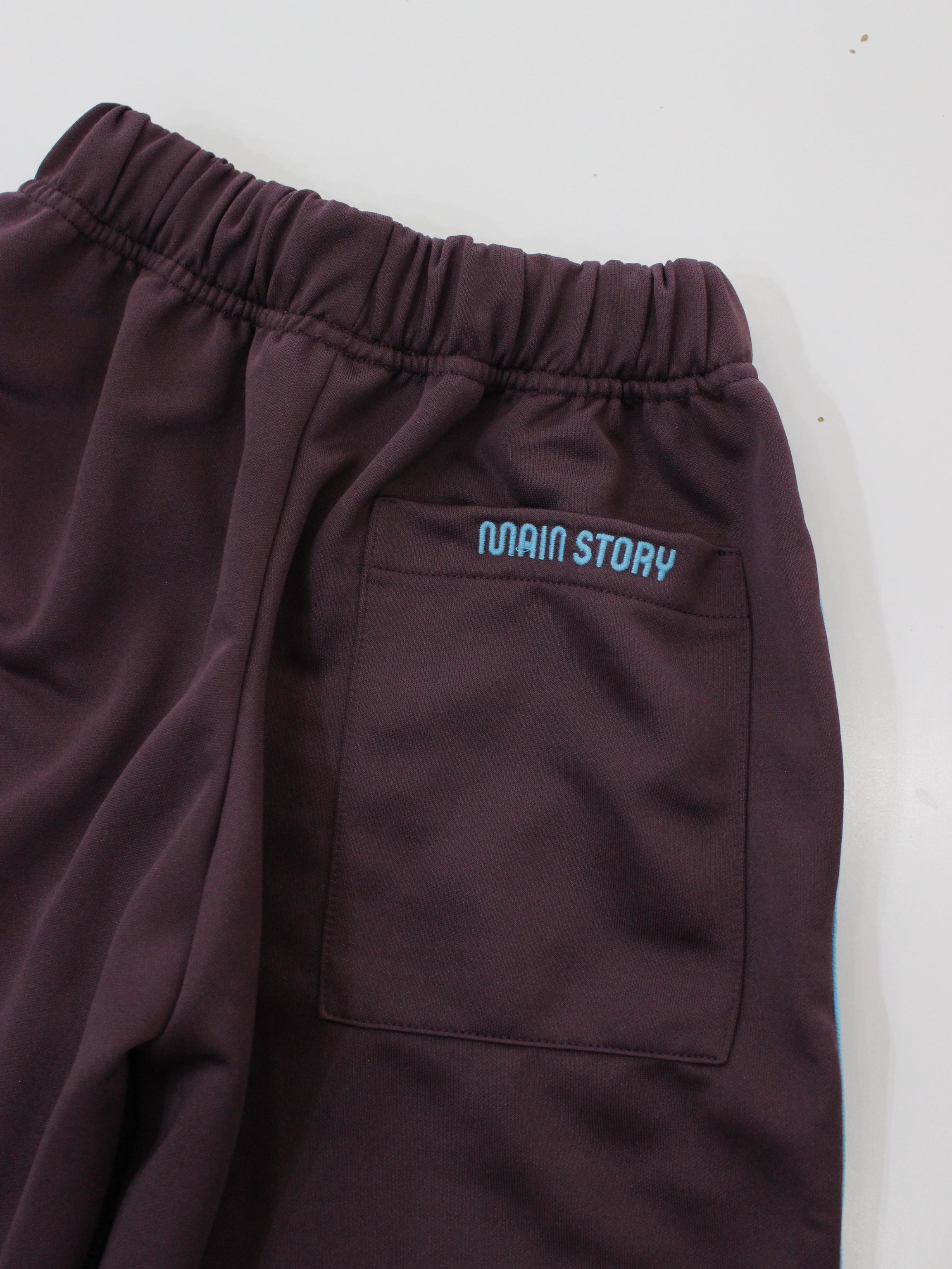 main story Sport Pant Grape