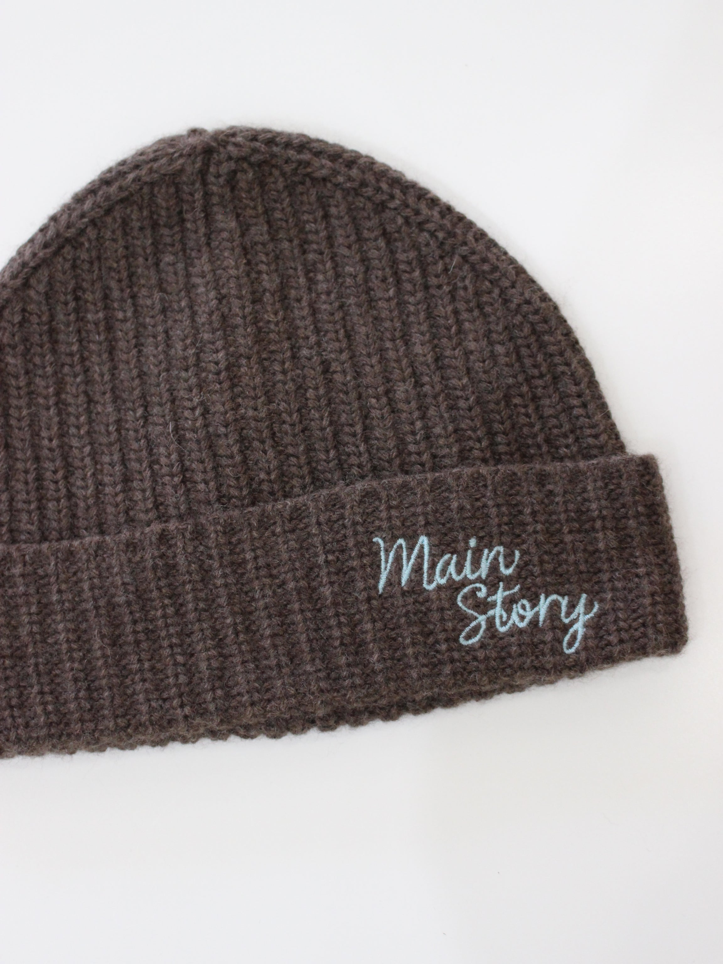 main story Beanie Mouse