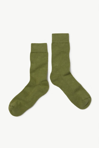 main story  Socks　Sage