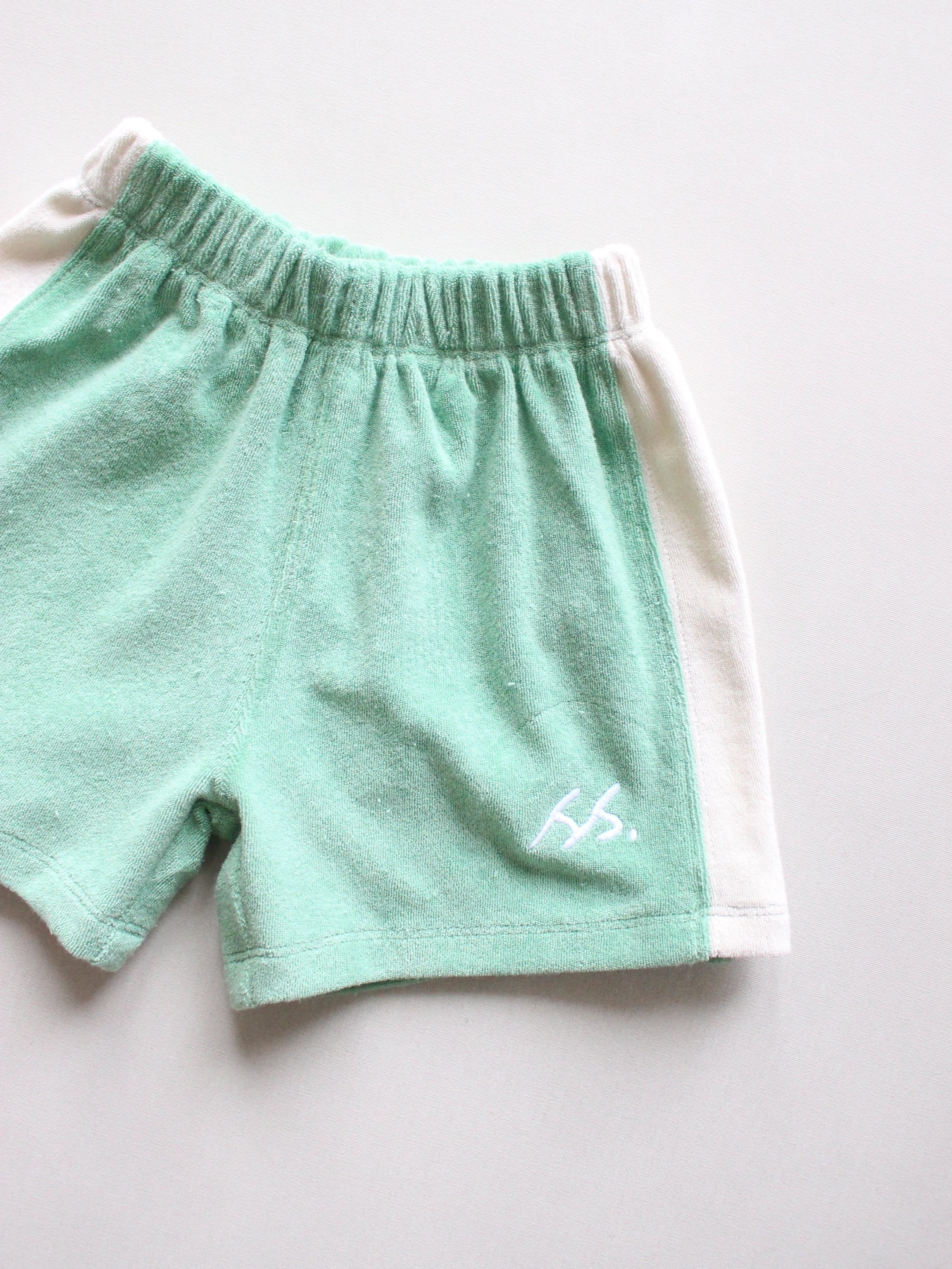 SUMMER and STORM TERRY PANEL SHORT - GREEN