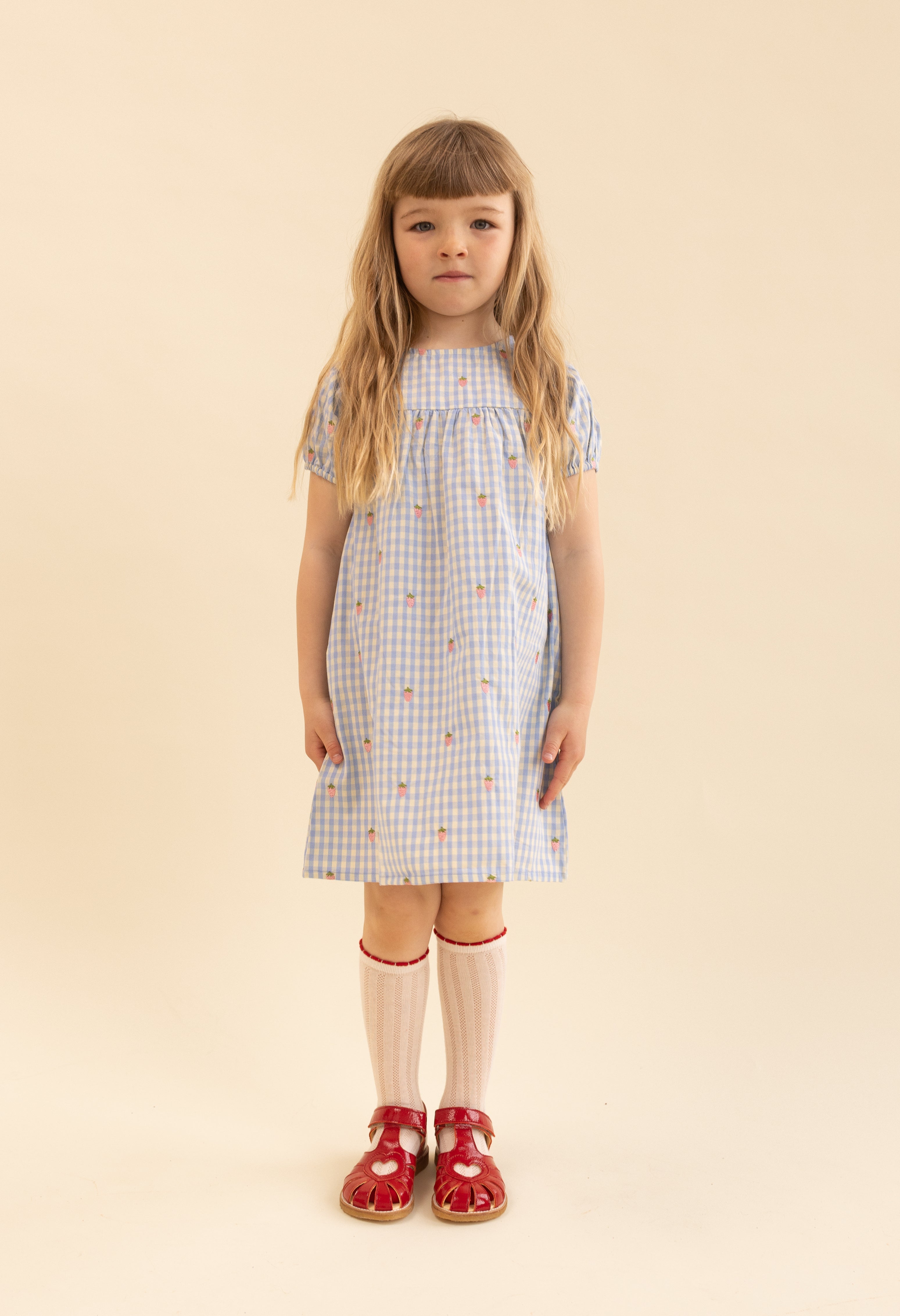 Flöss  Mille SS Dress  Sky Berry Gingham
