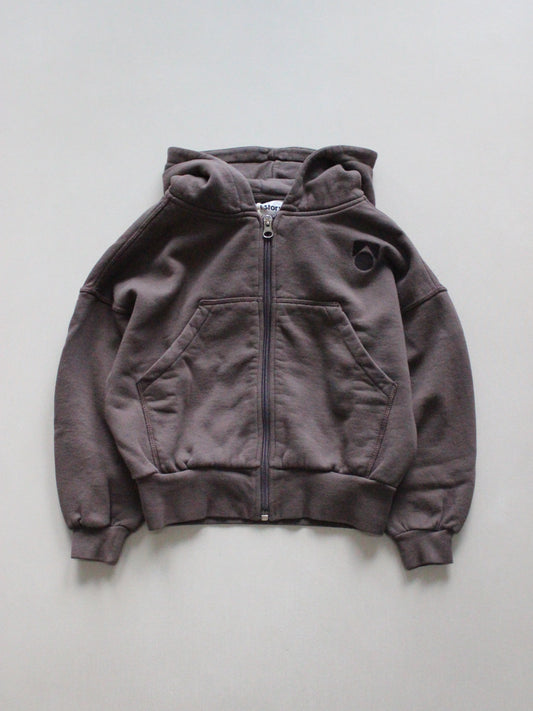 main story  Zipped Hoodie - Falcon