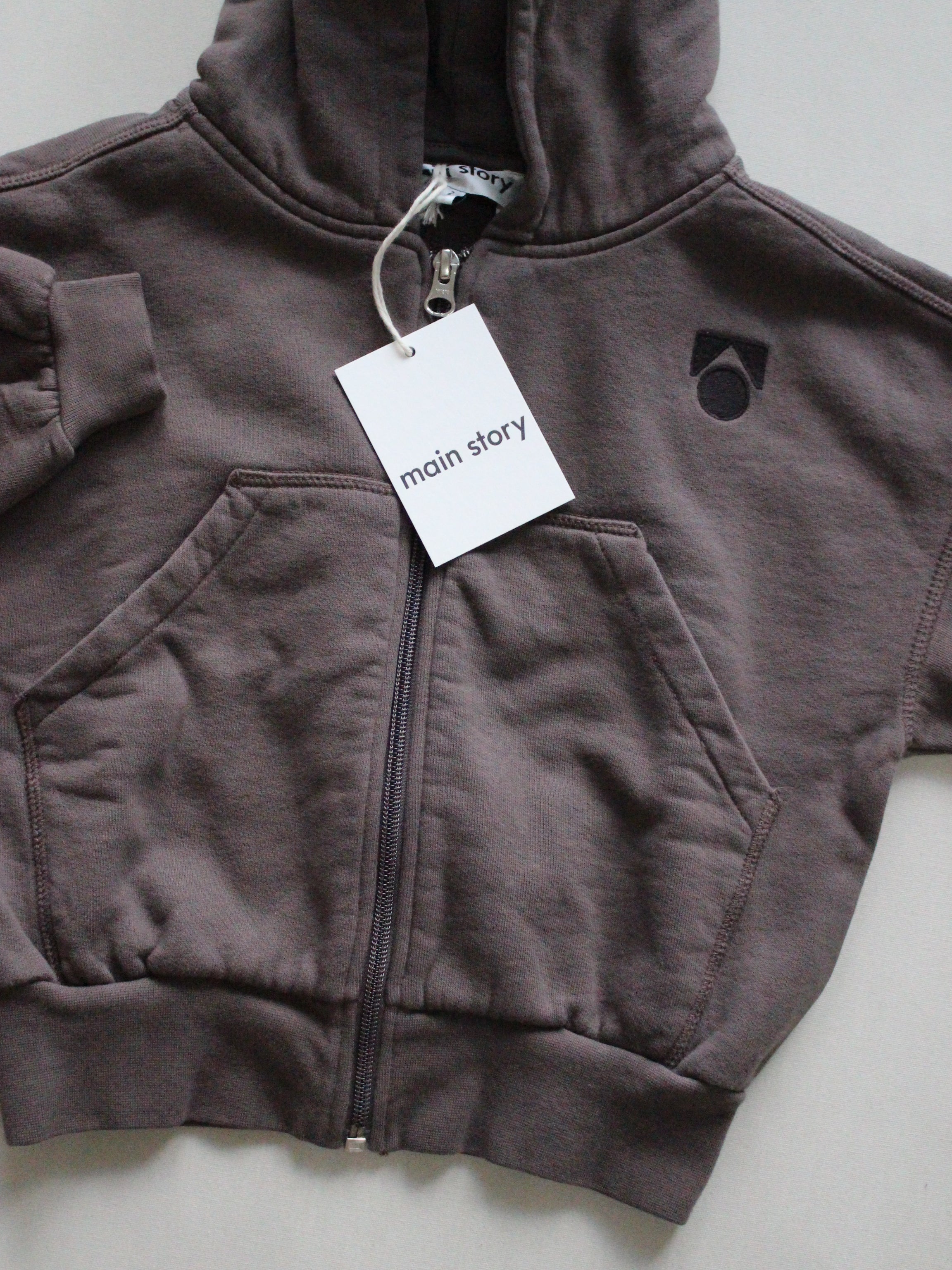 main story  Zipped Hoodie - Falcon