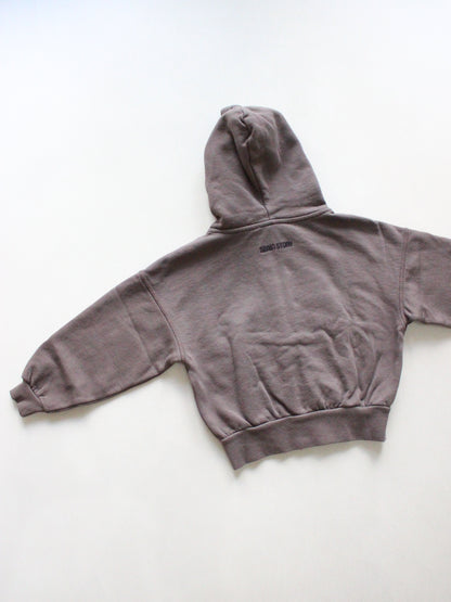 main story  Zipped Hoodie - Falcon