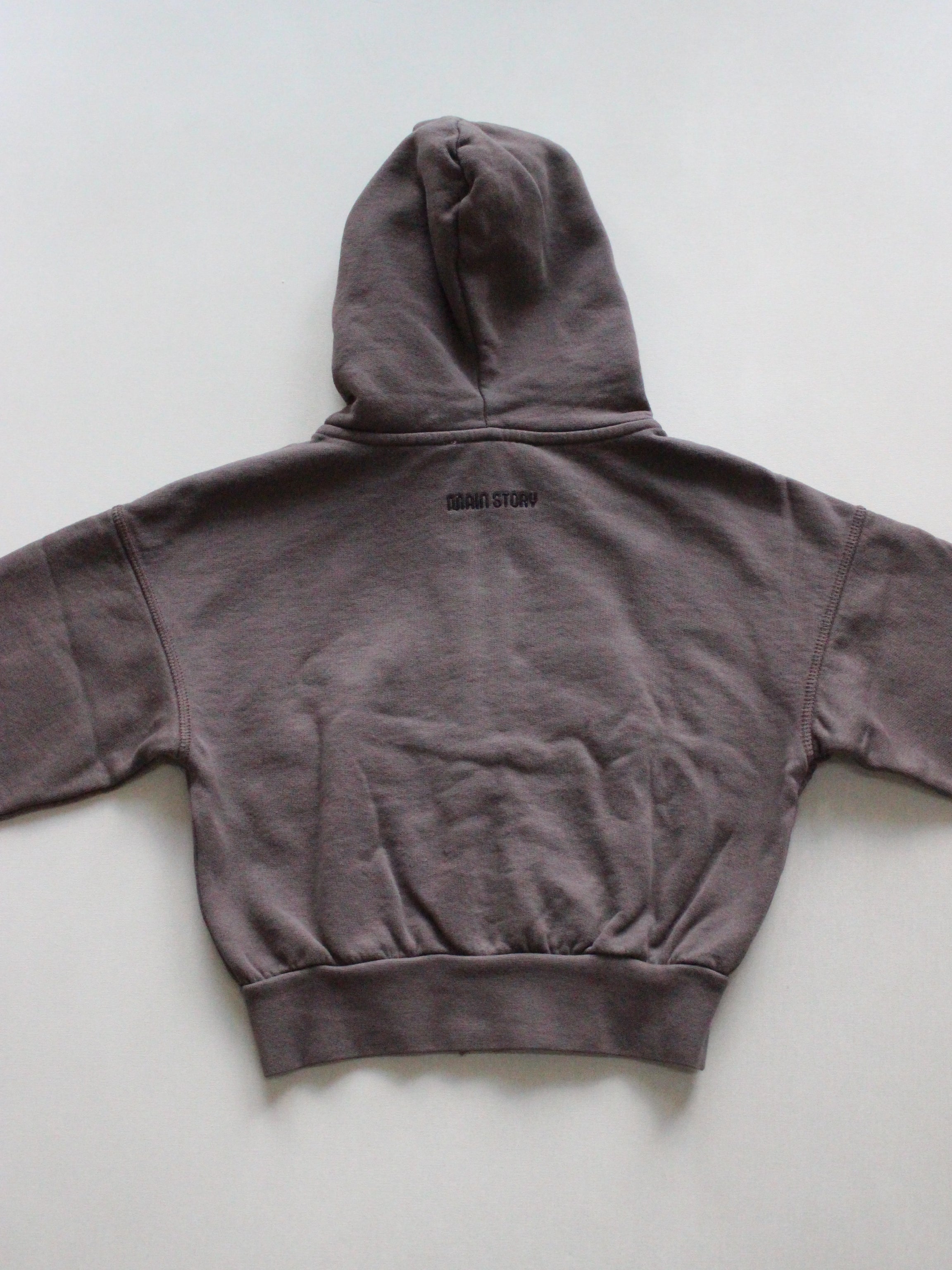 main story  Zipped Hoodie - Falcon