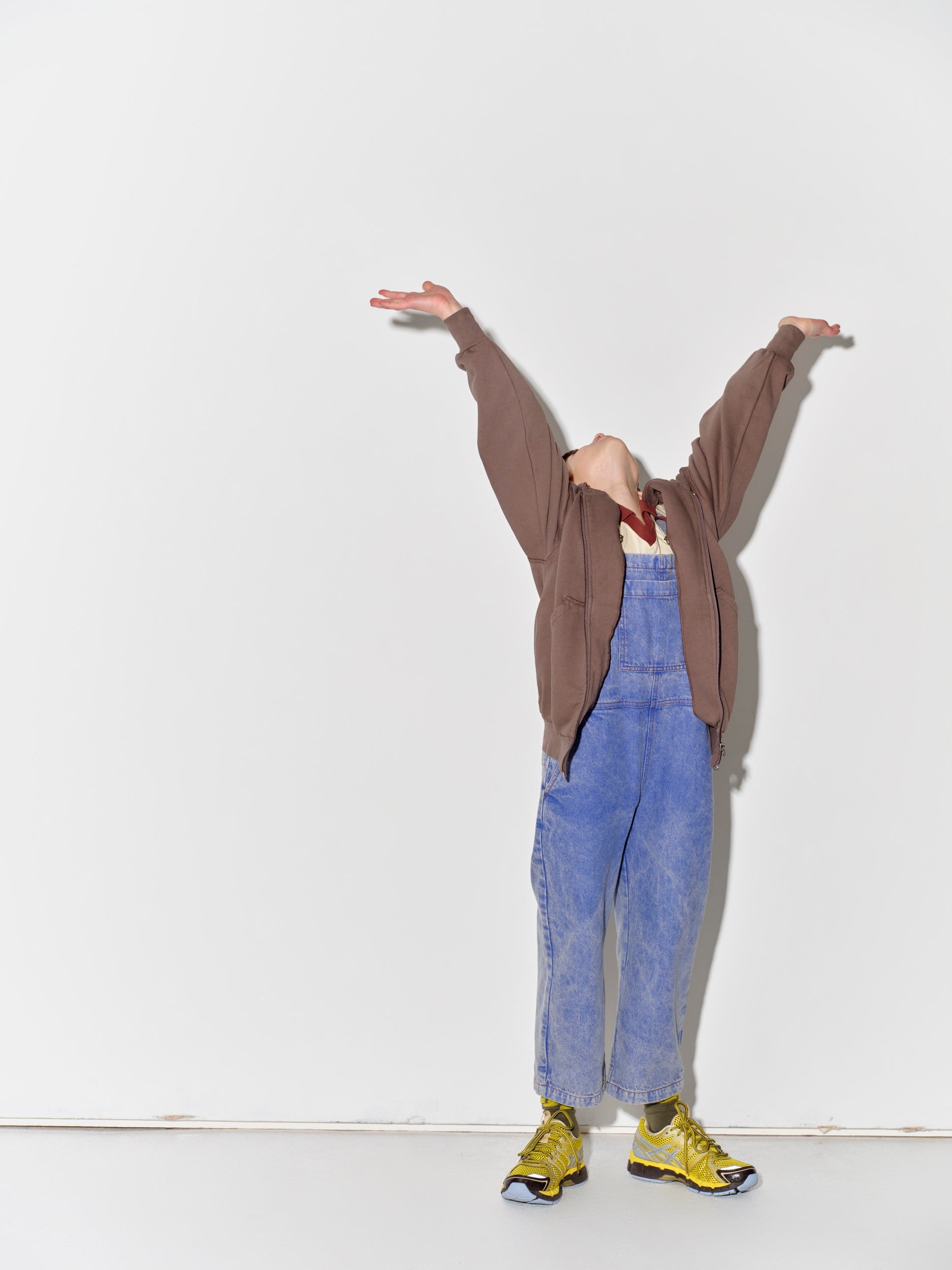 main story  Zipped Hoodie - Falcon