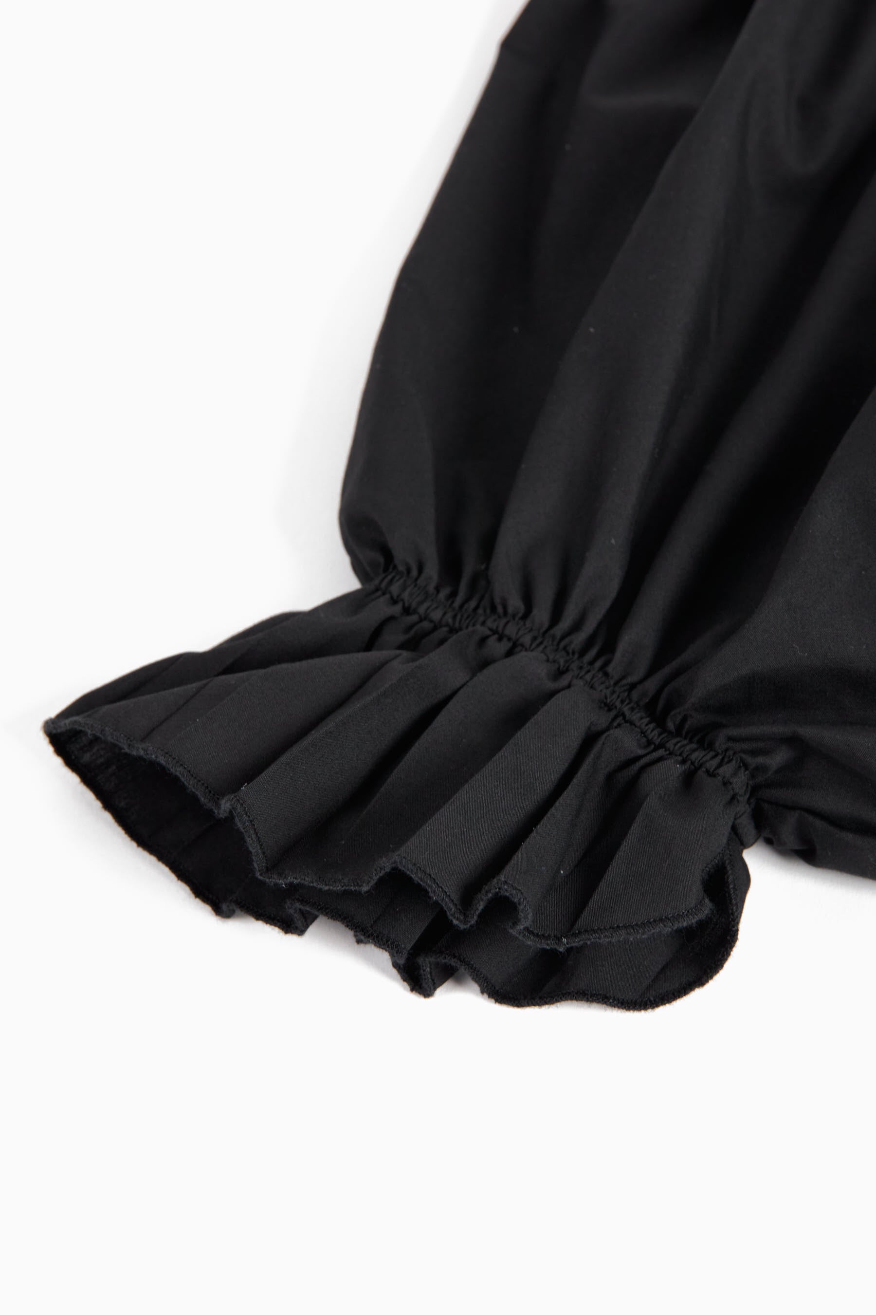 WOLF & RITA　REGINA ASH