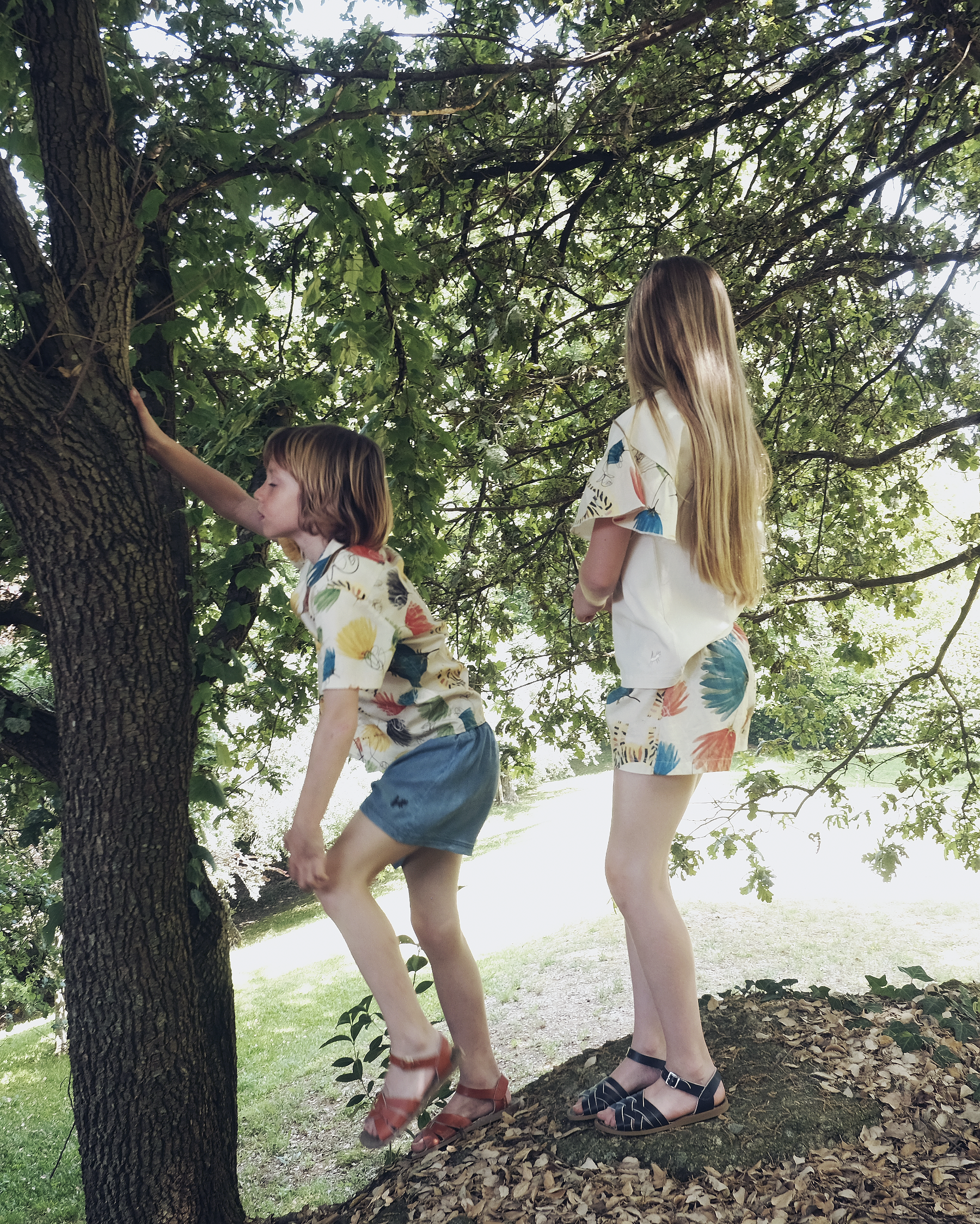 WOLF & RITA　BRUNO DANDELION