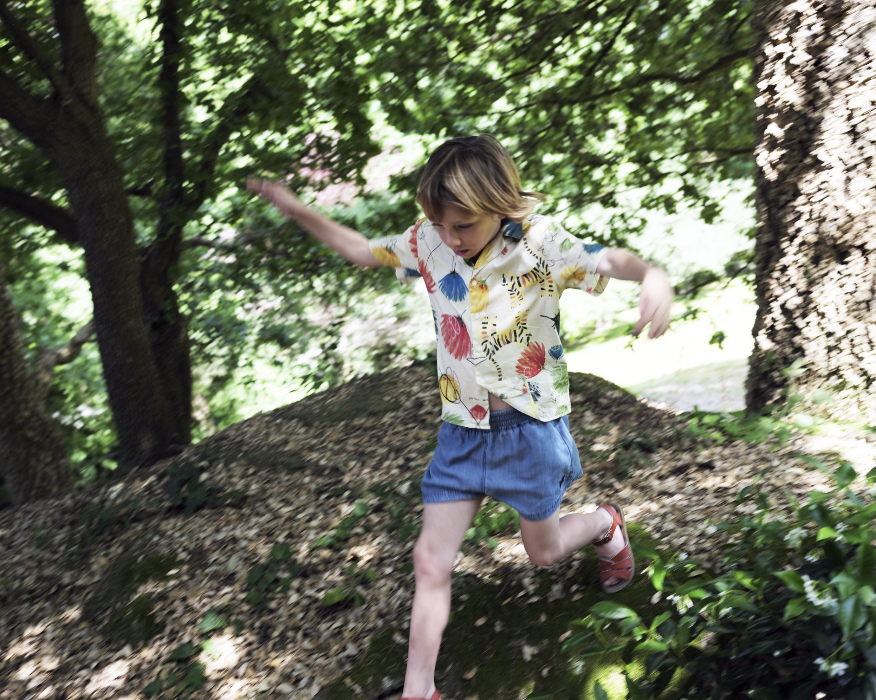 WOLF & RITA　BRUNO DANDELION