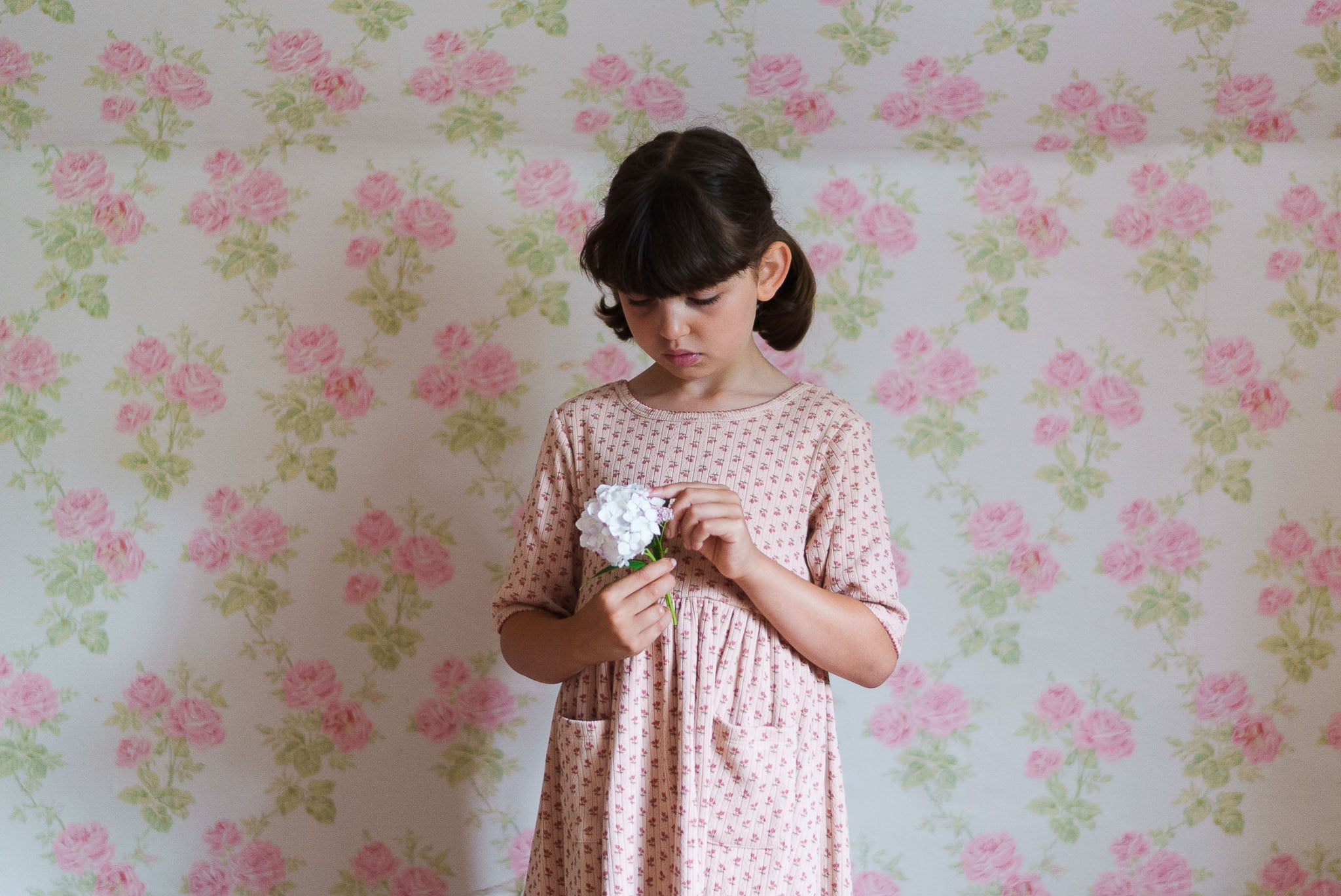 little cotton clothes  June Pointelle Dress in Tulip Floral