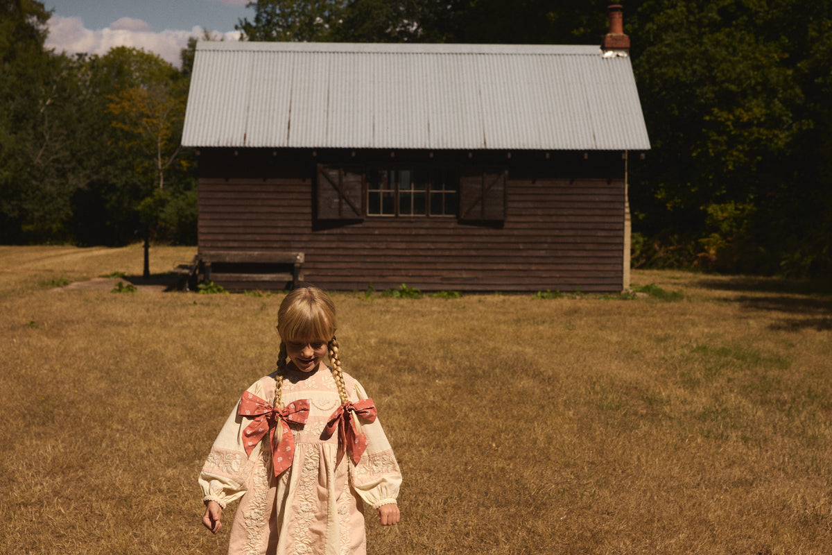 APOLINA  WILMA DRESS - DRIED ROSE/CREAM