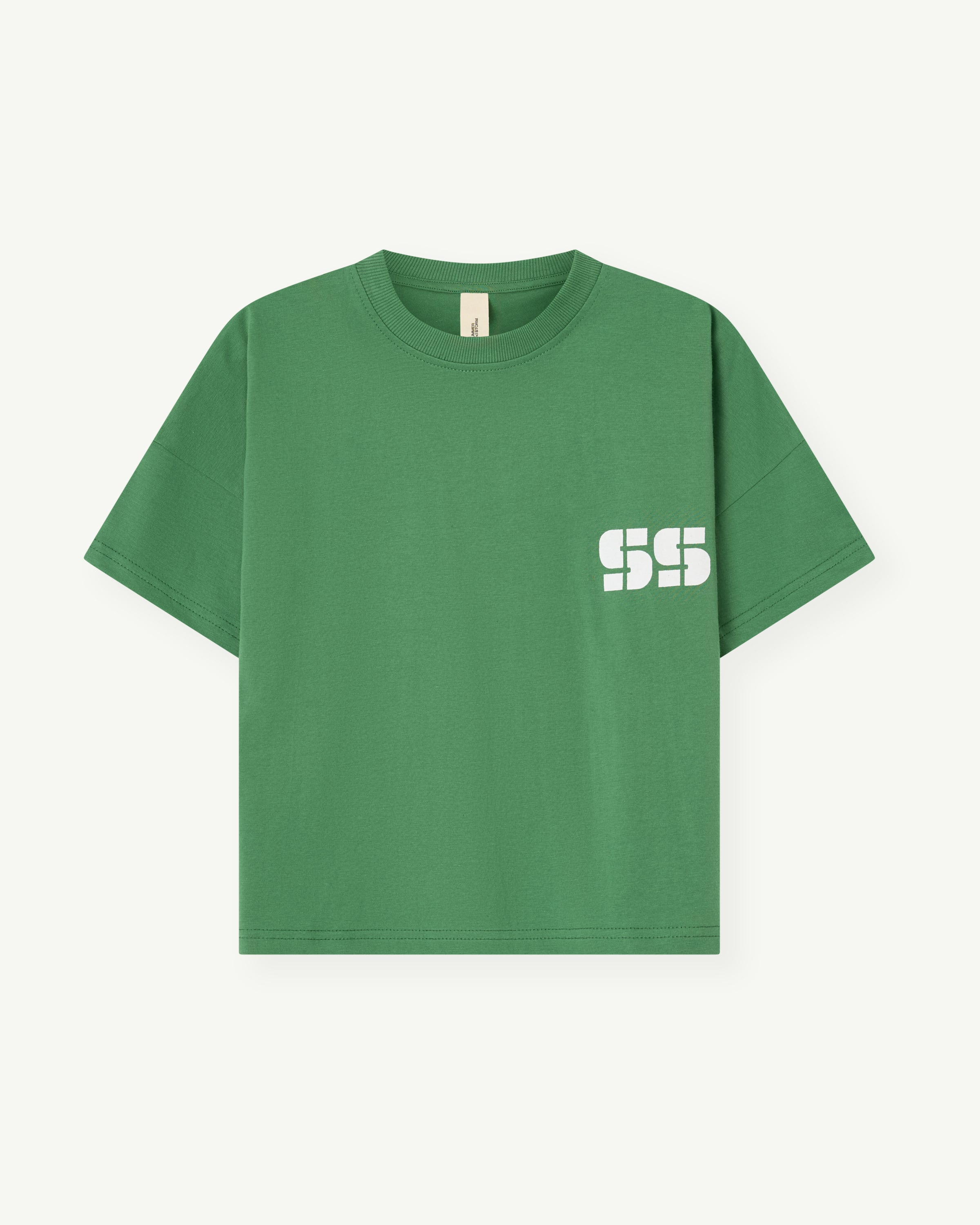 SUMMER and STORM  OVERSIZED TEE - GREEN SS