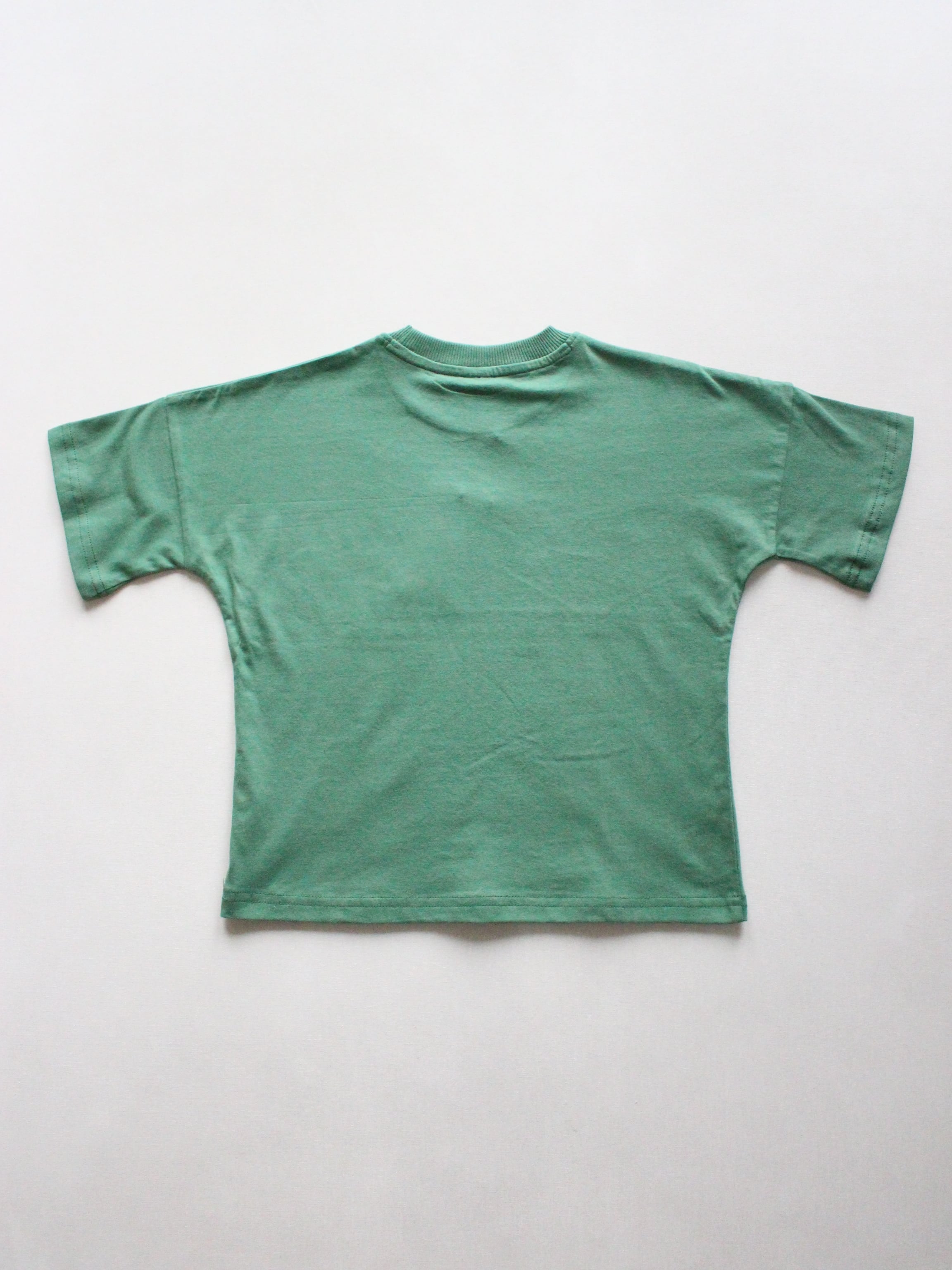 SUMMER and STORM  OVERSIZED TEE - GREEN SS